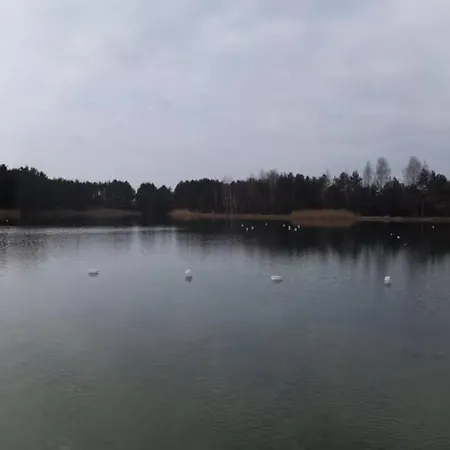 V&v Palanga